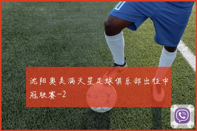 沈阳奥美满天星足球俱乐部出征中冠联赛