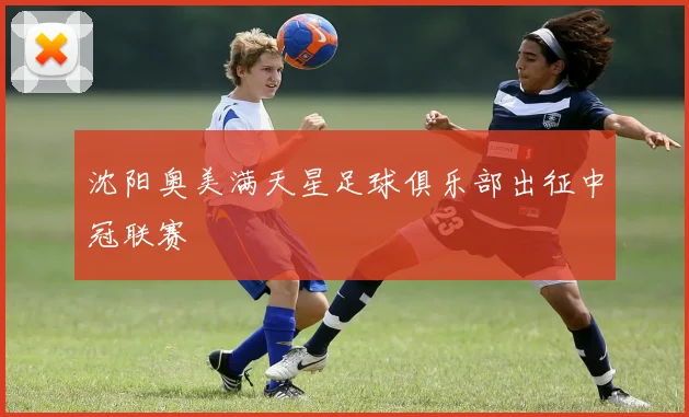 沈阳奥美满天星足球俱乐部出征中冠联赛