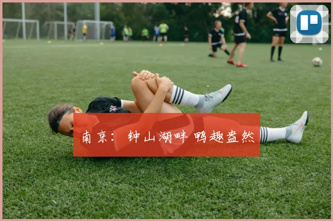 南京：钟山湖畔 鸭趣盎然